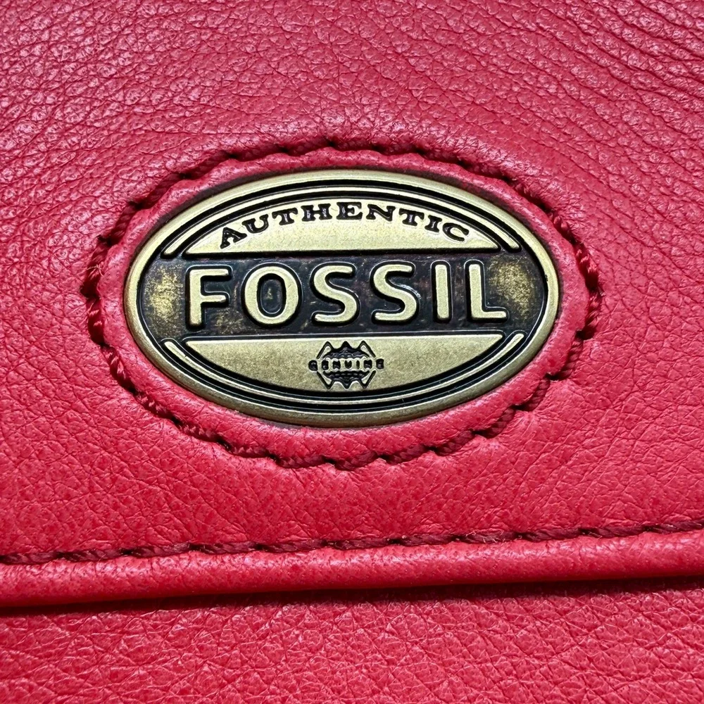 Fossil zip around